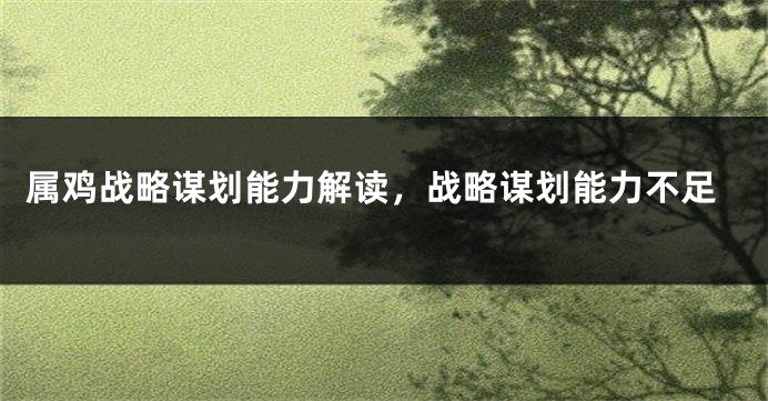 属鸡战略谋划能力解读，战略谋划能力不足