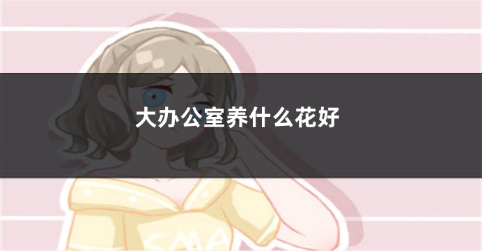 大办公室养什么花好