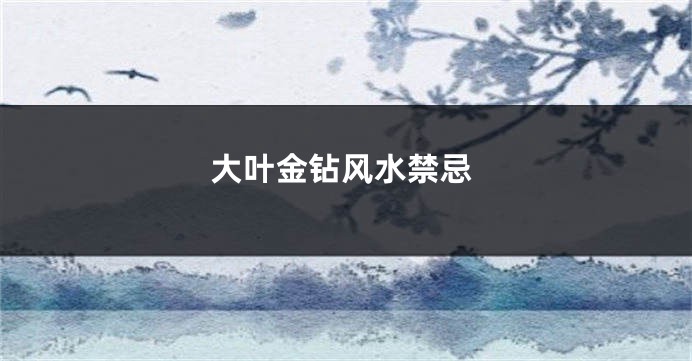 大叶金钻风水禁忌
