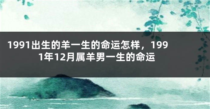 1991出生的羊一生的命运怎样，1991年12月属羊男一生的命运