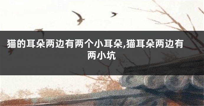 猫的耳朵两边有两个小耳朵,猫耳朵两边有两小坑
