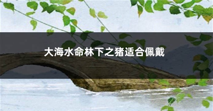 大海水命林下之猪适合佩戴