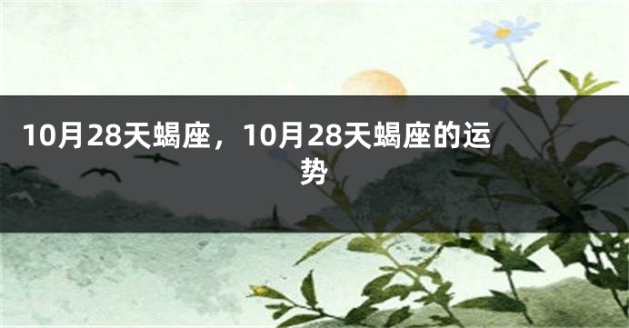 10月28天蝎座，10月28天蝎座的运势