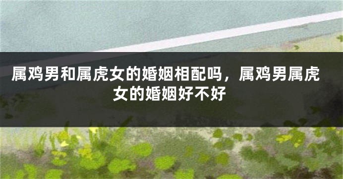 属鸡男和属虎女的婚姻相配吗，属鸡男属虎女的婚姻好不好