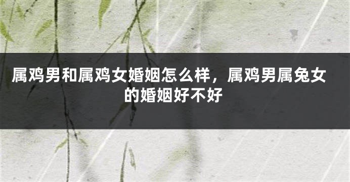 属鸡男和属鸡女婚姻怎么样，属鸡男属兔女的婚姻好不好