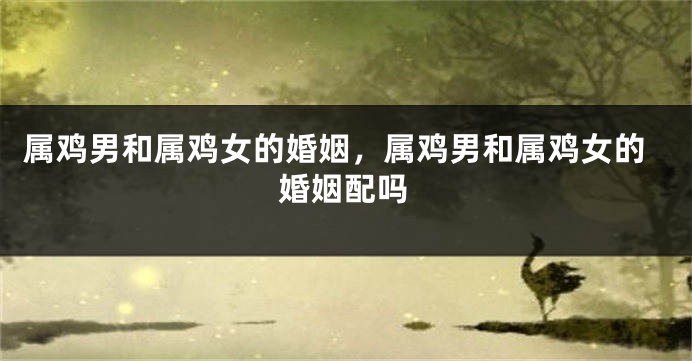 属鸡男和属鸡女的婚姻，属鸡男和属鸡女的婚姻配吗