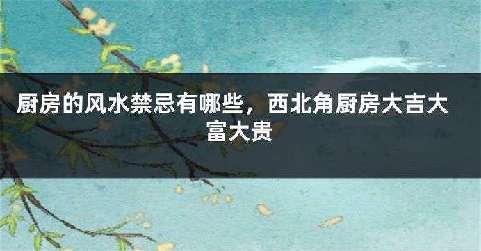 厨房的风水禁忌有哪些，西北角厨房大吉大富大贵