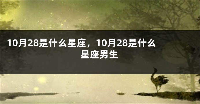 10月28是什么星座，10月28是什么星座男生