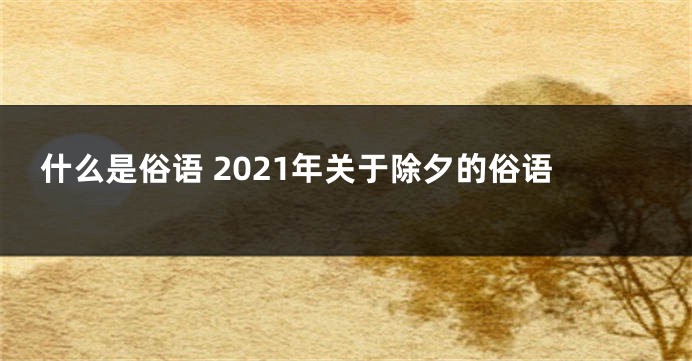 什么是俗语 2021年关于除夕的俗语