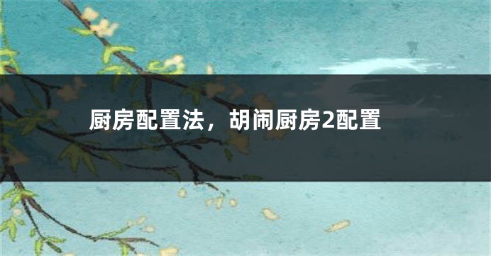 厨房配置法,胡闹厨房2配置