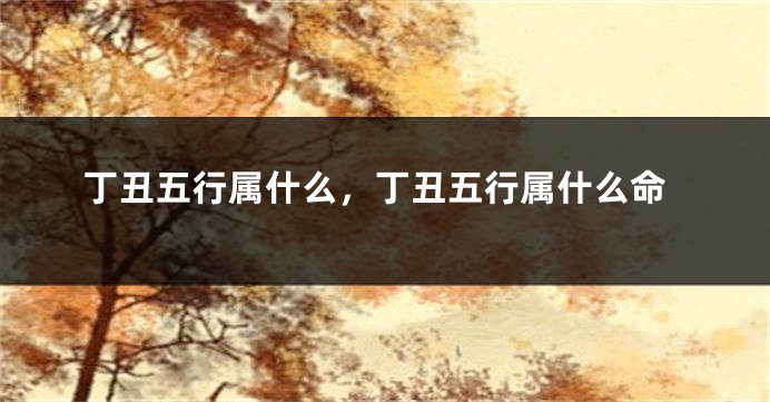 丁丑五行属什么，丁丑五行属什么命