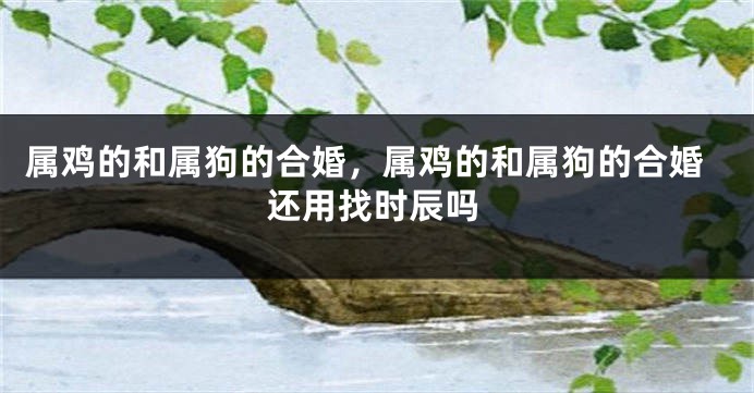 属鸡的和属狗的合婚，属鸡的和属狗的合婚还用找时辰吗