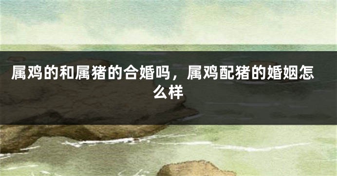 属鸡的和属猪的合婚吗，属鸡配猪的婚姻怎么样