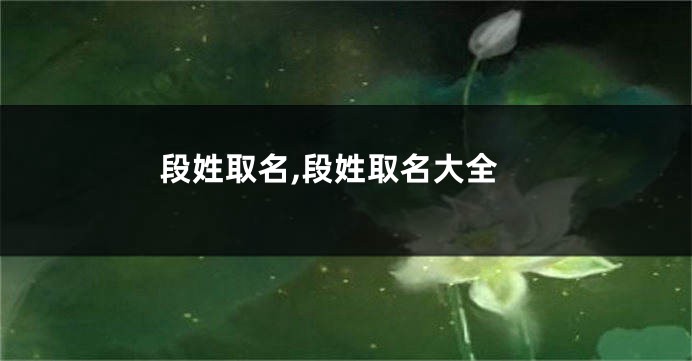 段姓取名,段姓取名大全