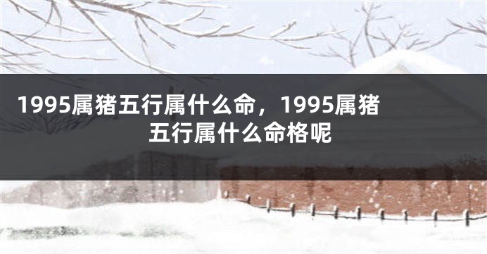 1995属猪五行属什么命，1995属猪五行属什么命格呢