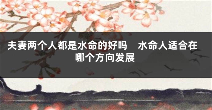 夫妻两个人都是水命的好吗　水命人适合在哪个方向发展
