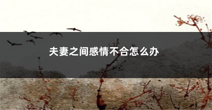 夫妻之间感情不合怎么办