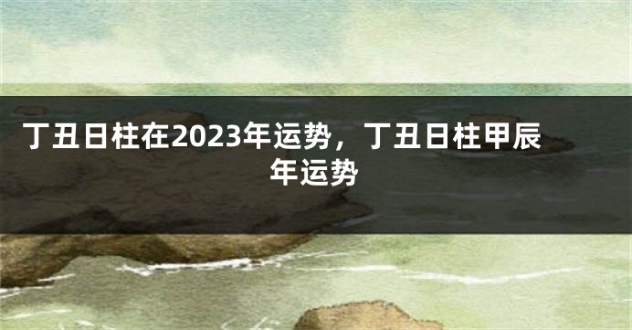 丁丑日柱在2023年运势，丁丑日柱甲辰年运势