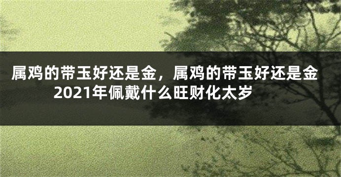 属鸡的带玉好还是金，属鸡的带玉好还是金2021年佩戴什么旺财化太岁