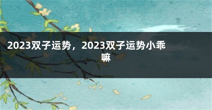 2023双子运势，2023双子运势小乖嘛