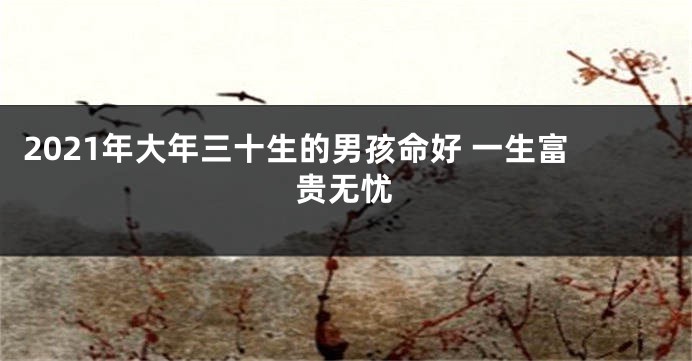 2021年大年三十生的男孩命好 一生富贵无忧