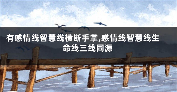 有感情线智慧线横断手掌,感情线智慧线生命线三线同源