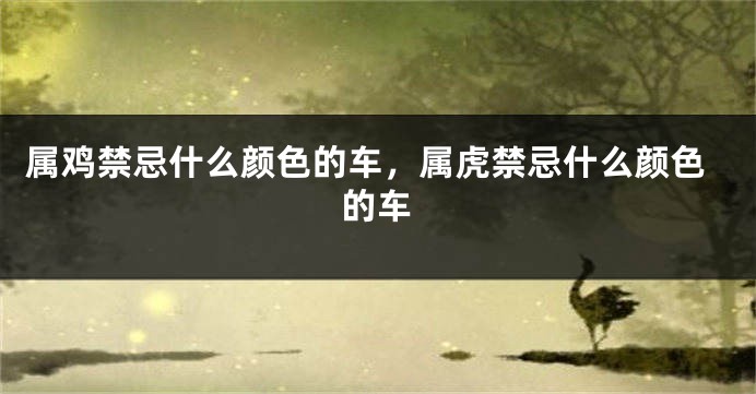 属鸡禁忌什么颜色的车，属虎禁忌什么颜色的车