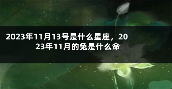 2023年11月13号是什么星座，2023年11月的兔是什么命