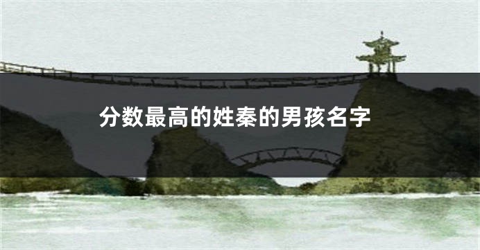 分数最高的姓秦的男孩名字