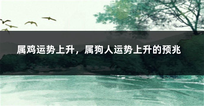 属鸡运势上升，属狗人运势上升的预兆