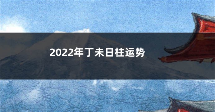 2022年丁未日柱运势