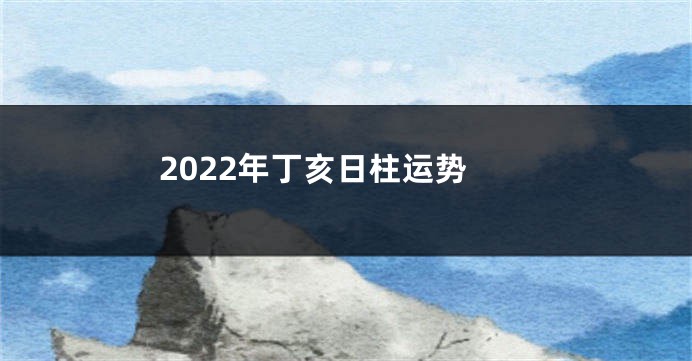 2022年丁亥日柱运势
