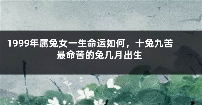 1999年属兔女一生命运如何，十兔九苦最命苦的兔几月出生