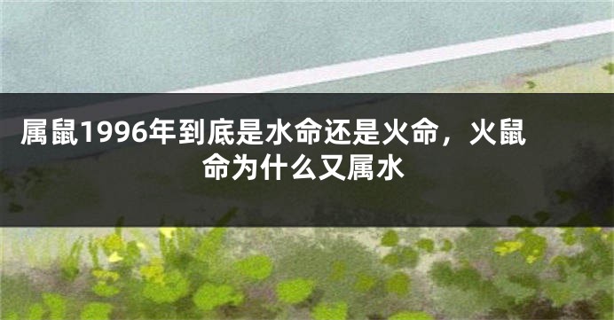属鼠1996年到底是水命还是火命，火鼠命为什么又属水