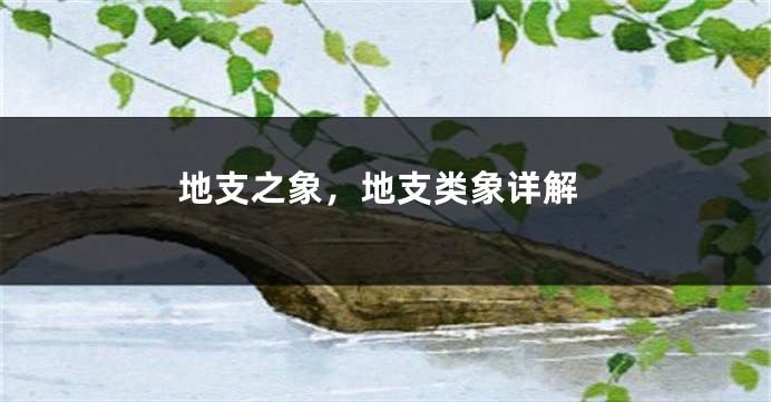 地支之象，地支类象详解