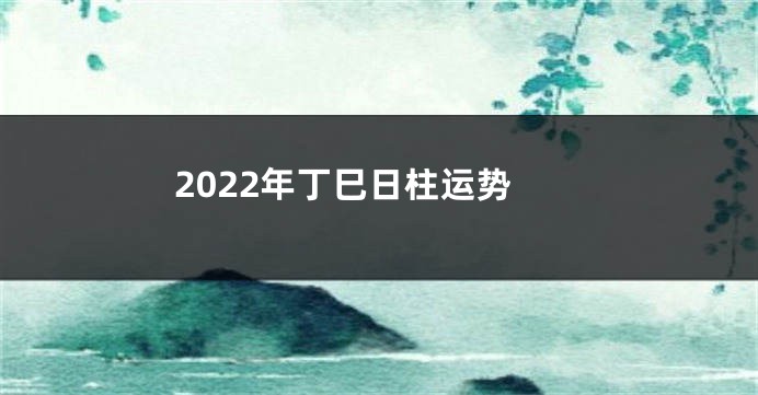 2022年丁巳日柱运势