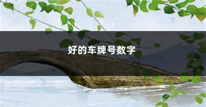 好的车牌号数字