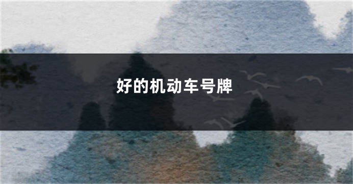 好的机动车号牌