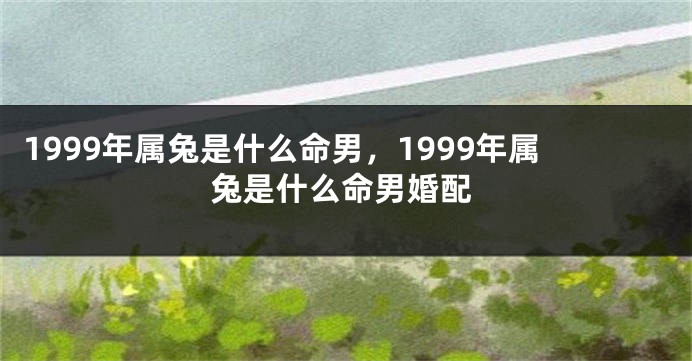 1999年属兔是什么命男，1999年属兔是什么命男婚配