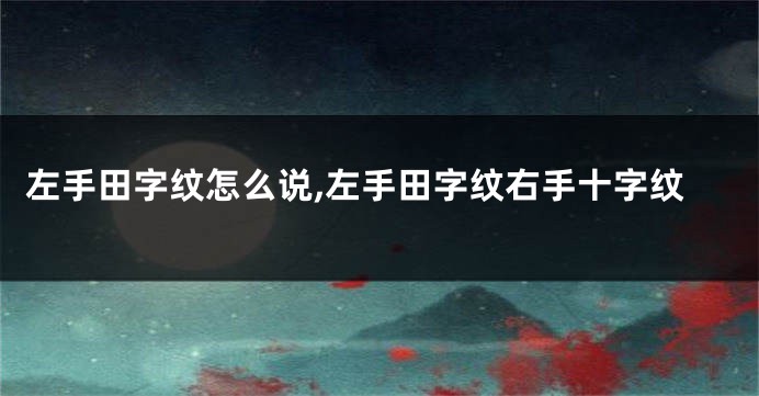 左手田字纹怎么说,左手田字纹右手十字纹