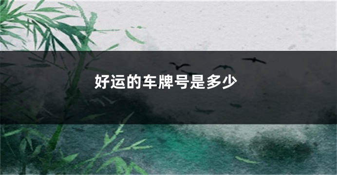 好运的车牌号是多少