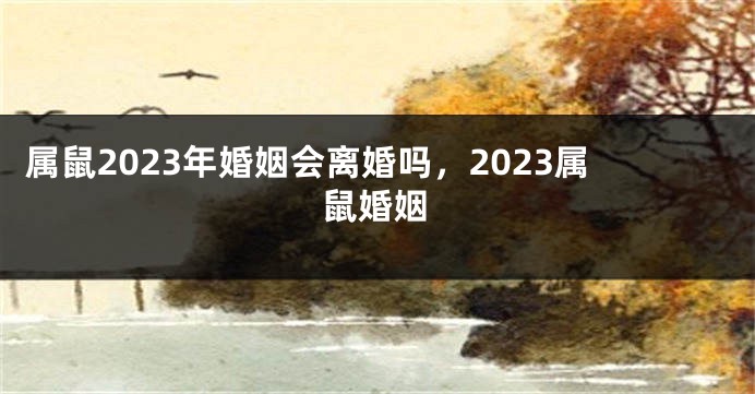 属鼠2023年婚姻会离婚吗，2023属鼠婚姻