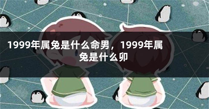 1999年属兔是什么命男，1999年属兔是什么卯