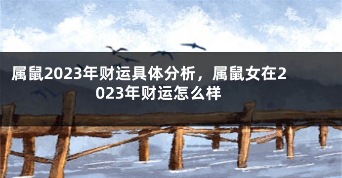 属鼠2023年财运具体分析，属鼠女在2023年财运怎么样