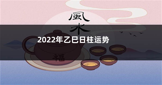 2022年乙巳日柱运势