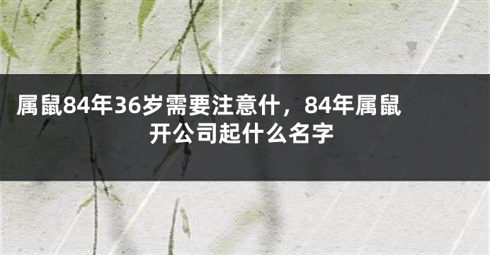 属鼠84年36岁需要注意什，84年属鼠开公司起什么名字