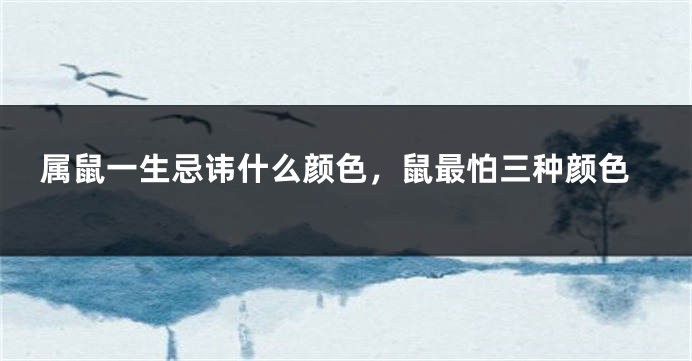属鼠一生忌讳什么颜色，鼠最怕三种颜色