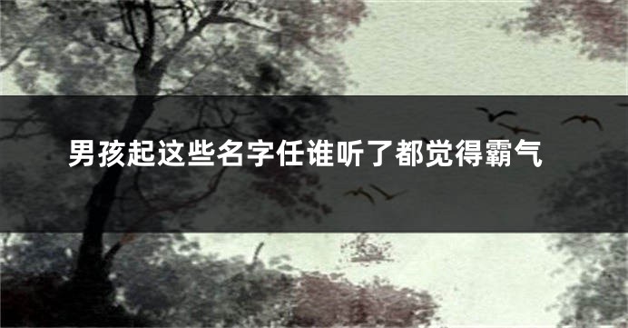 男孩起这些名字任谁听了都觉得霸气