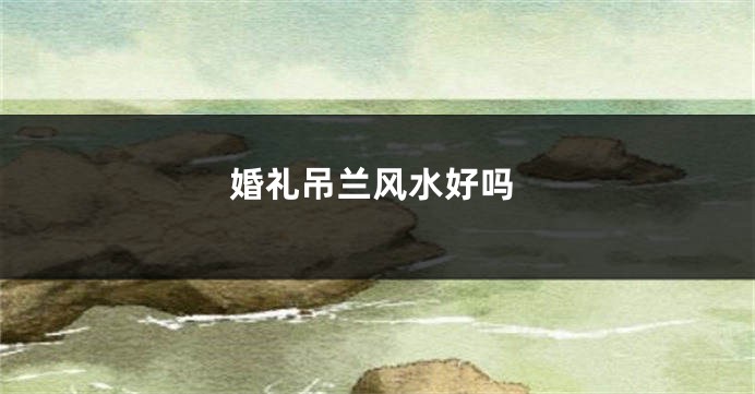 婚礼吊兰风水好吗