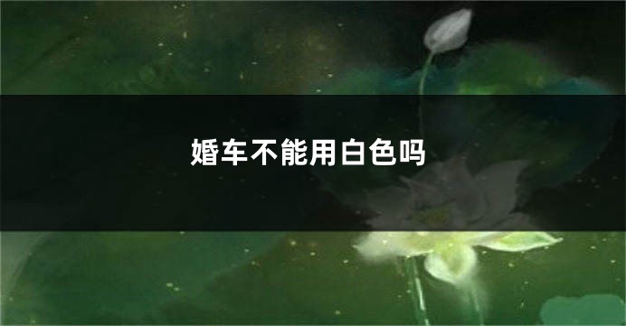 婚车不能用白色吗